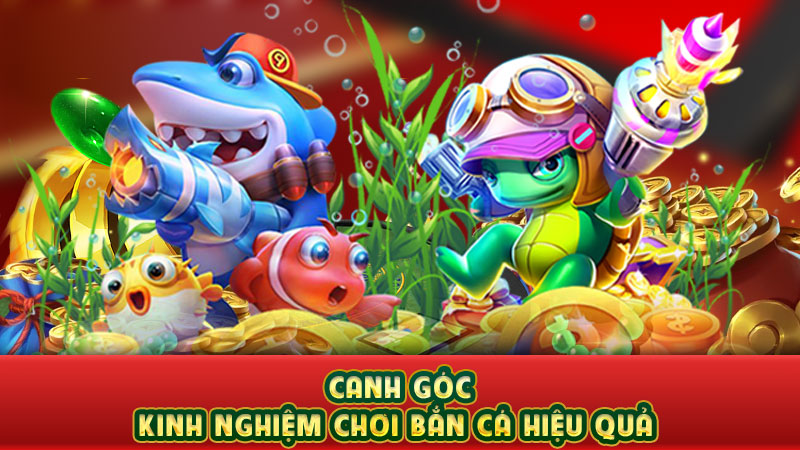 canh góc - kinh nghiệm chơi bắn cá hiệu quả canh góc - kinh nghiệm chơi bắn cá hiệu quả