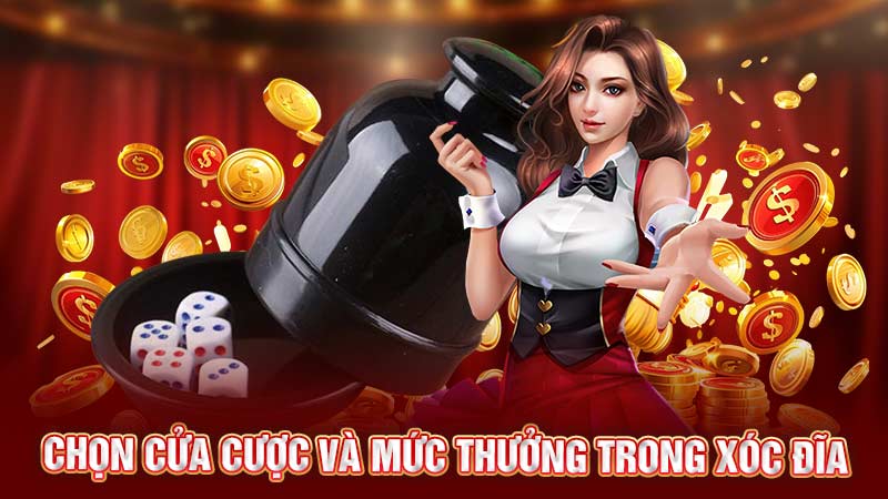 chọn cửa cược và mức thưởng trong xóc đĩa chọn cửa cược và mức thưởng trong xóc đĩa