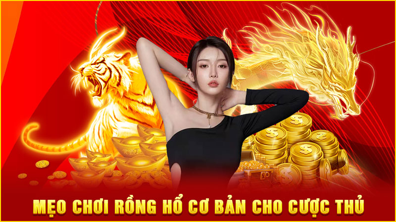 mẹo chơi rồng hổ cơ bản cho cược thủ