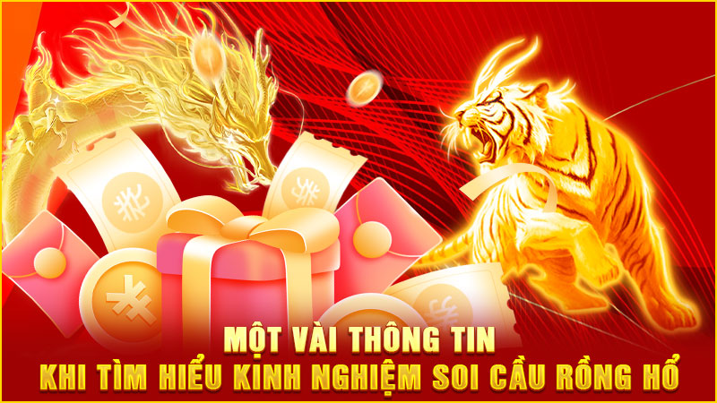 một vài thông tin khi tìm hiểu kinh nghiệm soi cầu rồng hổ
