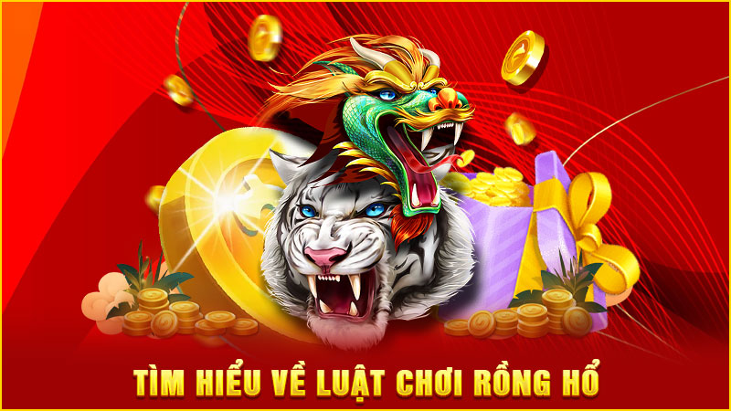 tìm hiểu về luật chơi rồng hổ