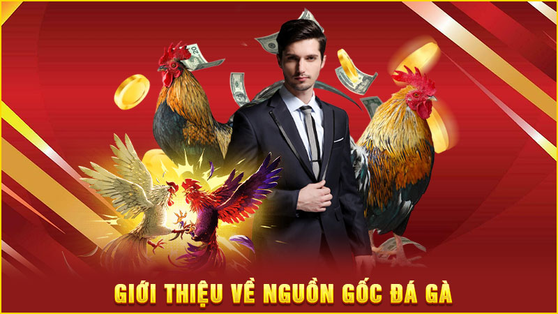 giới thiệu về nguồn gốc đá gà