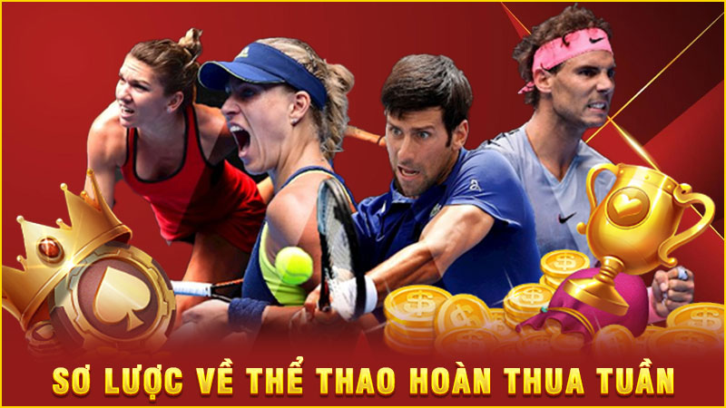 sơ lược về thể thao hoàn thua tuần sơ lược về thể thao hoàn thua tuần